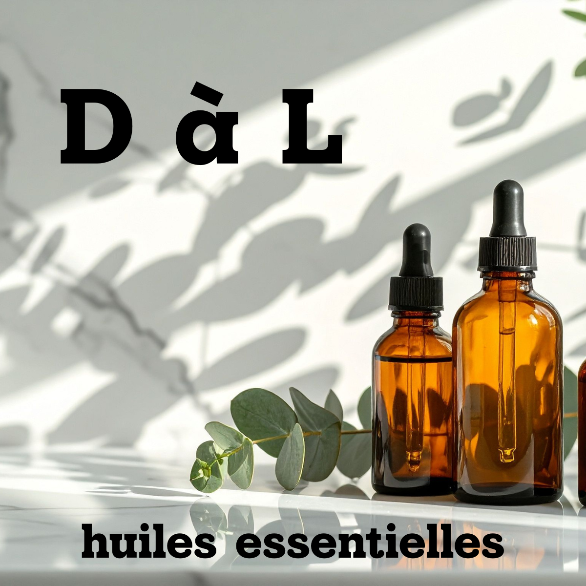 Huiles essentielles D à L